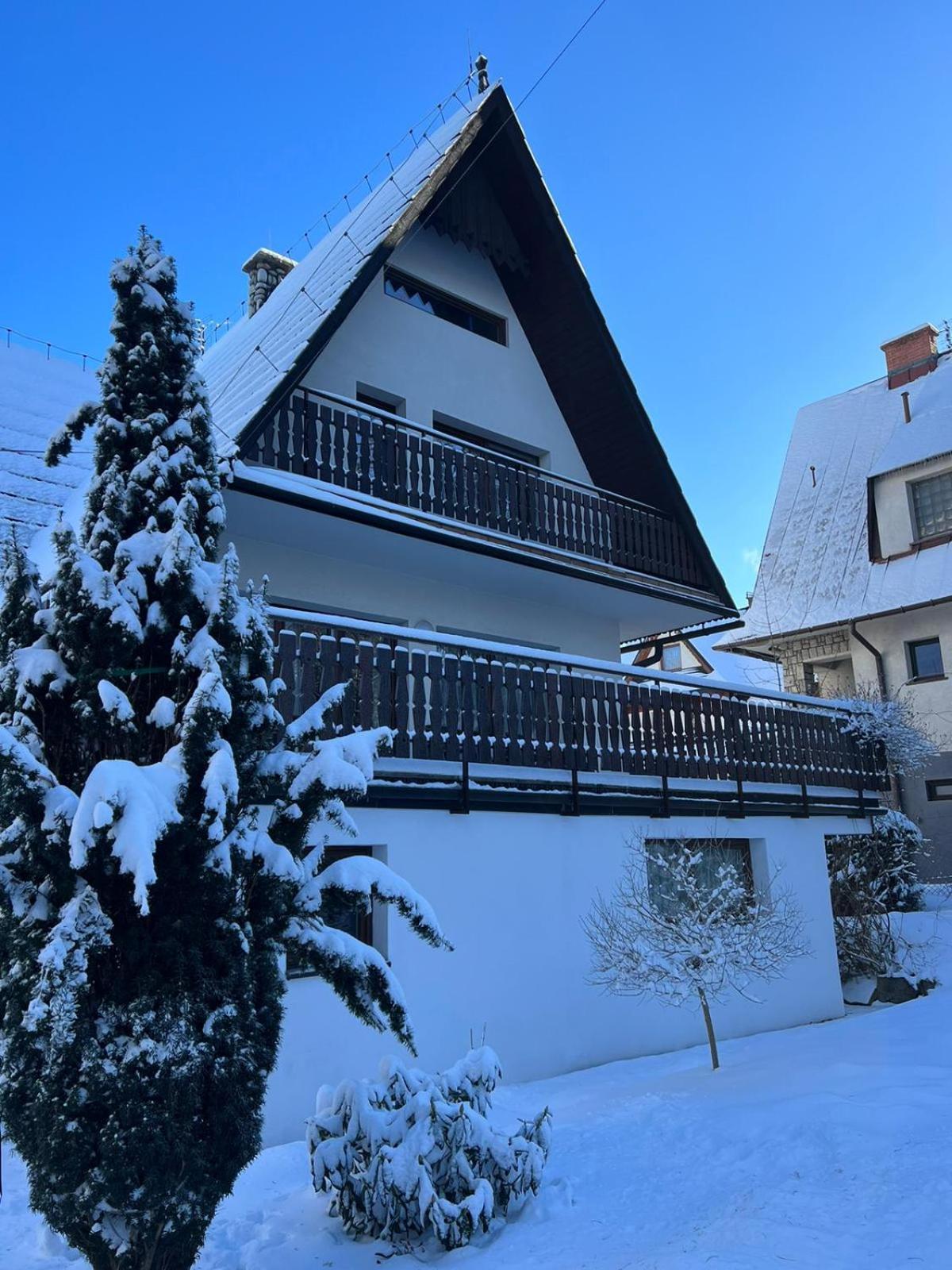 Willa Popielica Zakopane Exterior foto